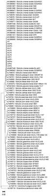 Genotypic and phenotypic characterization of resistance to fenhexamid, carboxin, and, prochloraz, in Botrytis cinerea isolates collected from cut roses in Colombia